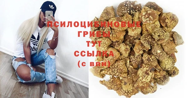 мет Белокуриха