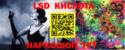 spice Волгодонск