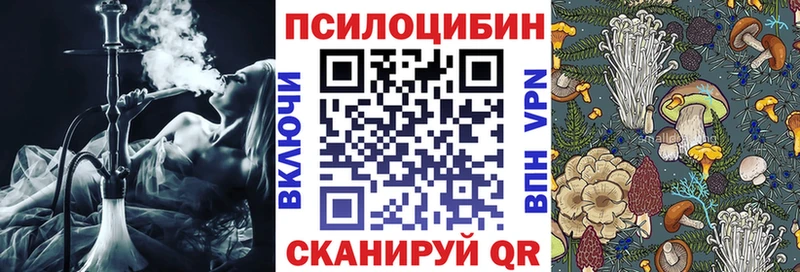 нарко площадка как зайти  Елабуга  Галлюциногенные грибы MAGIC MUSHROOMS 