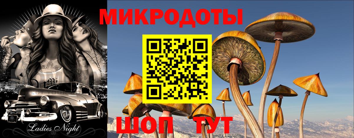 Елабуга  Псилоцибиновые грибы Psilocybine cubensis  Псилоцибиновые грибы Magic Shrooms  Вход с VPN 