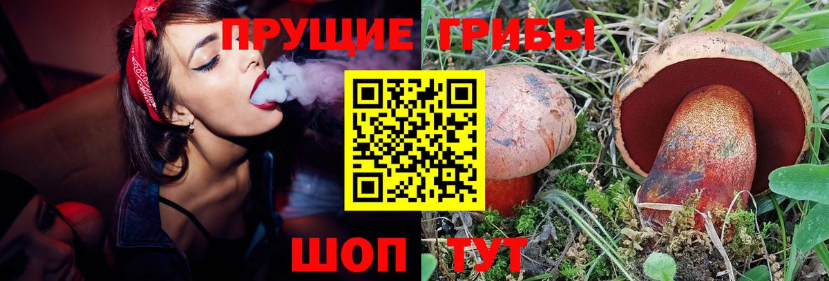 наркошоп  Галлюциногенные грибы прущие грибы  Елабуга  Псилоцибиновые грибы MAGIC MUSHROOMS 